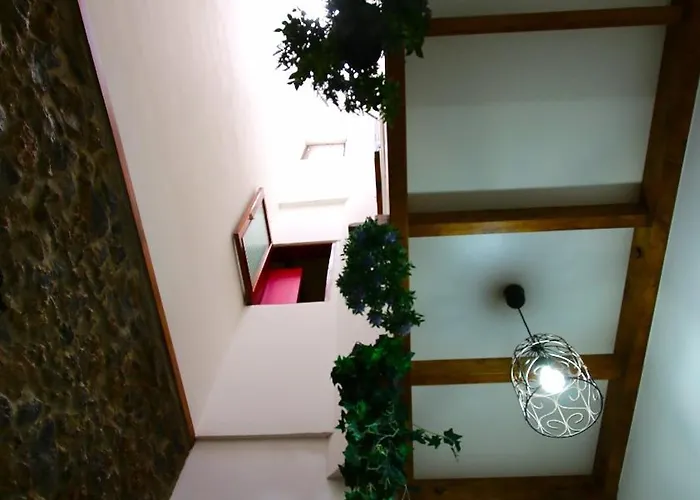 Mahalo House * Las Palmas de Gran Canaria