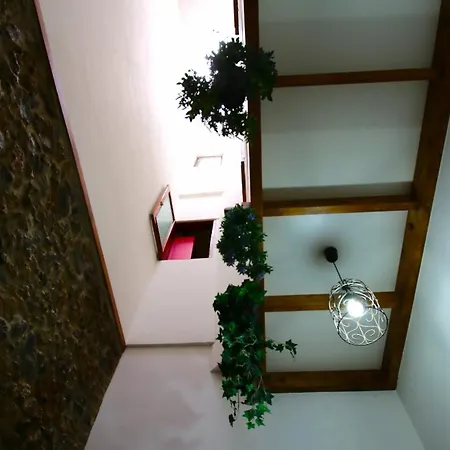 Mahalo House * Лас-Пальмас-де-Гран-Канария